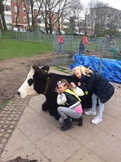 Woensdagmiddag: Kinderboerderij 't Waaygat