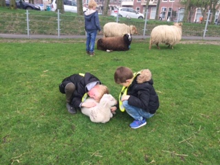 Woensdagmiddag: Kinderboerderij 't Waaygat
