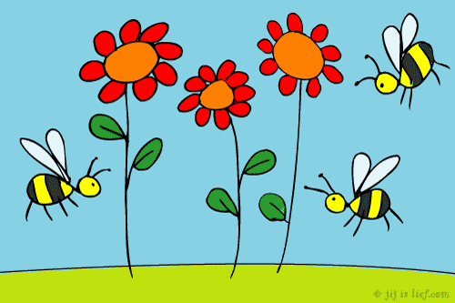 Nieuws Woensdagmiddag: Bloemetjes