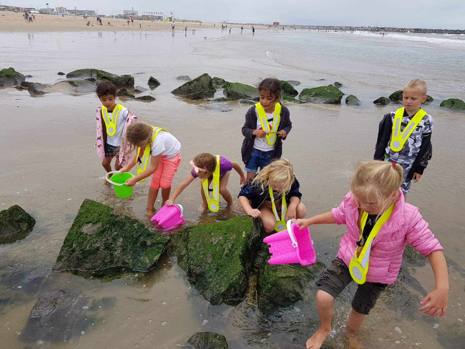 "De week van de zee" "De week van de zee"