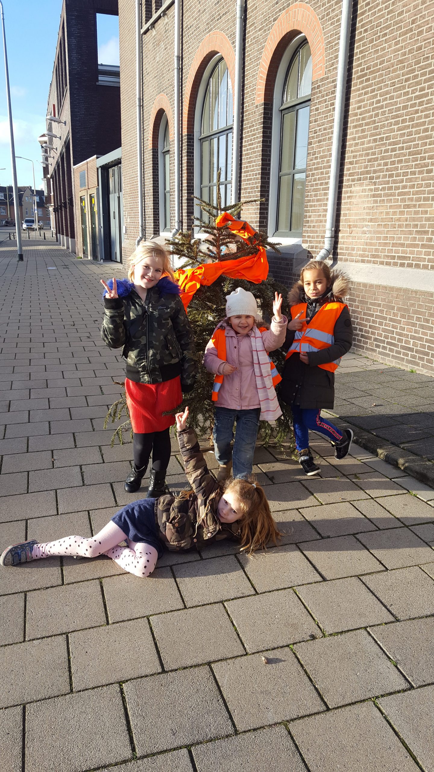 Nieuws Zaterdag 19 januari in Kommunika: Verloot je Boompje