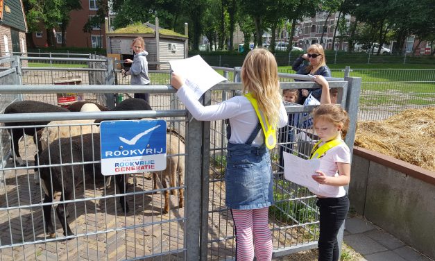 Time to Move: Speurtocht bij de kinderboerderij