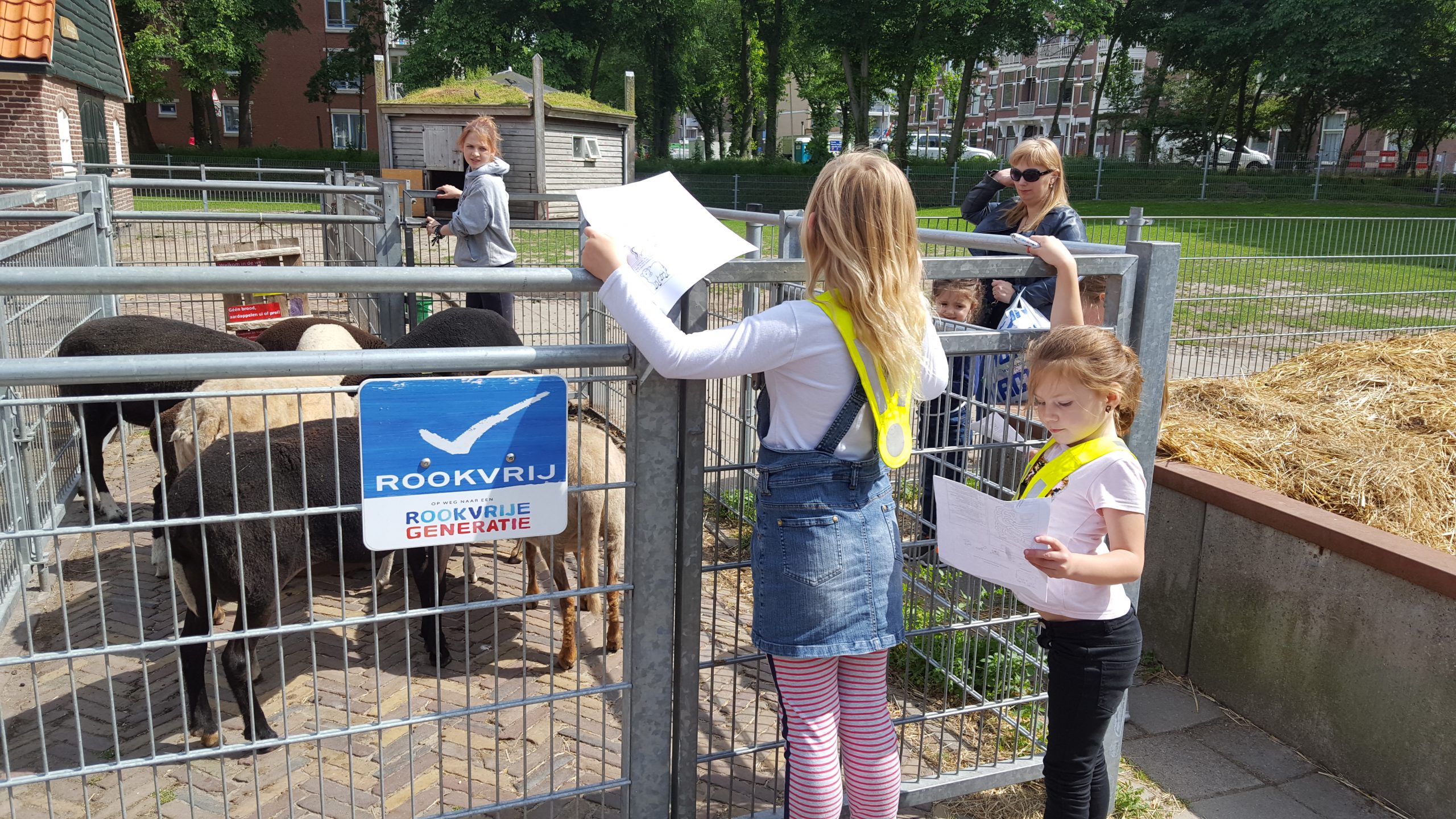Nieuws Time to Move: Speurtocht bij de kinderboerderij