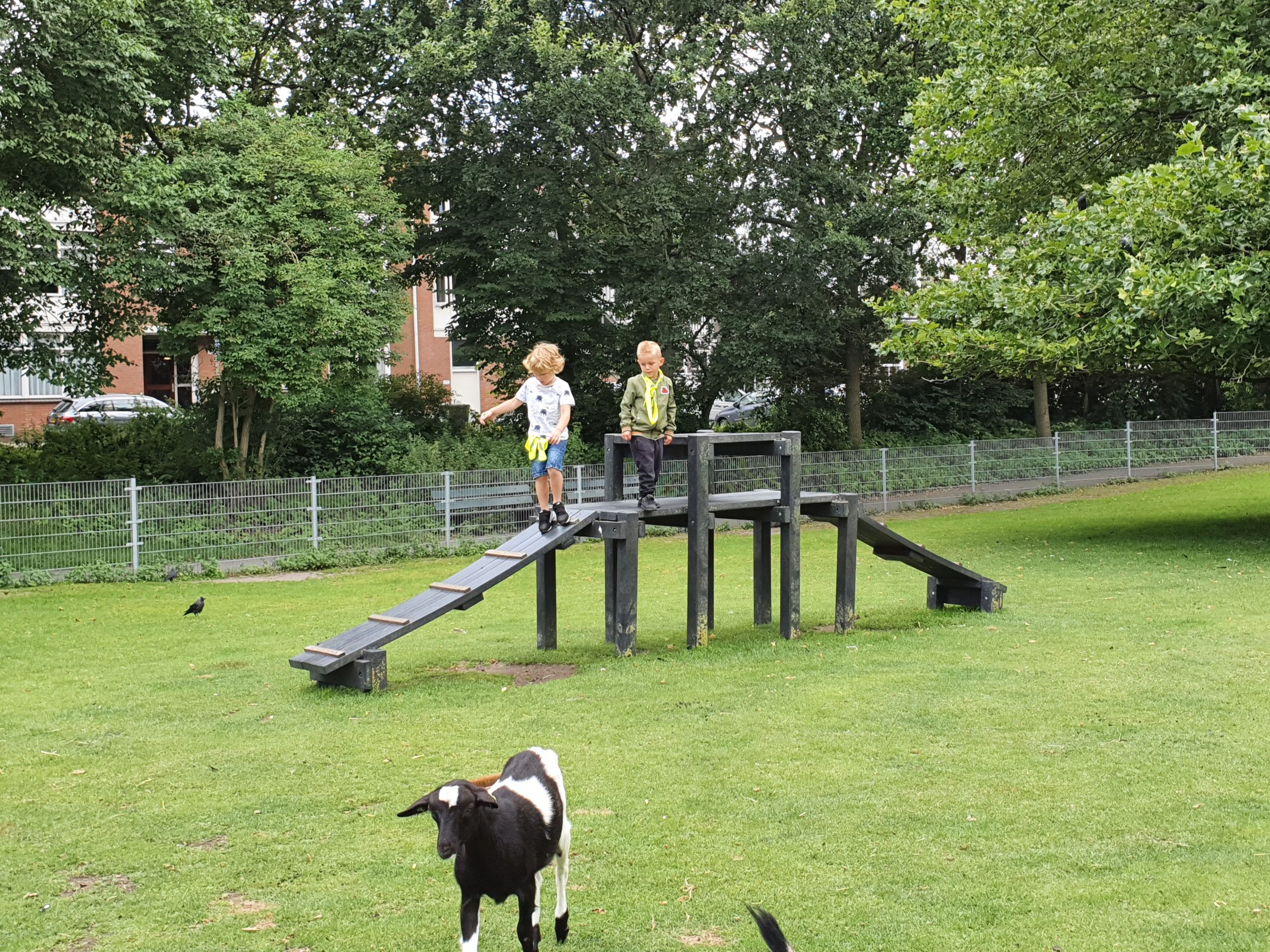 Nieuws Zomervakantie: Week 2