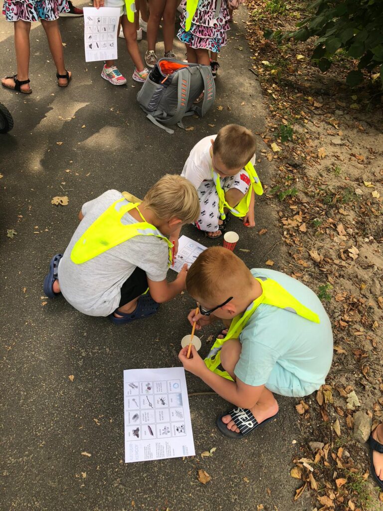 Zomervakantie: Week 4