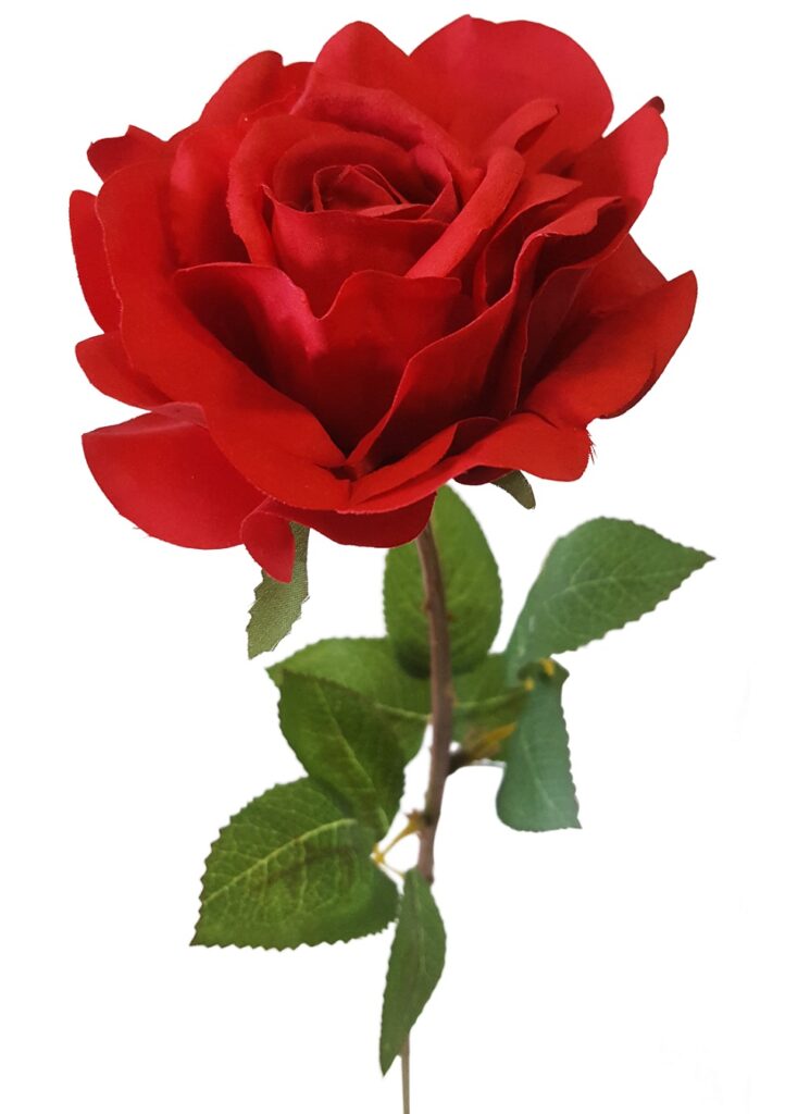 Valentijnsactie Kommunika
